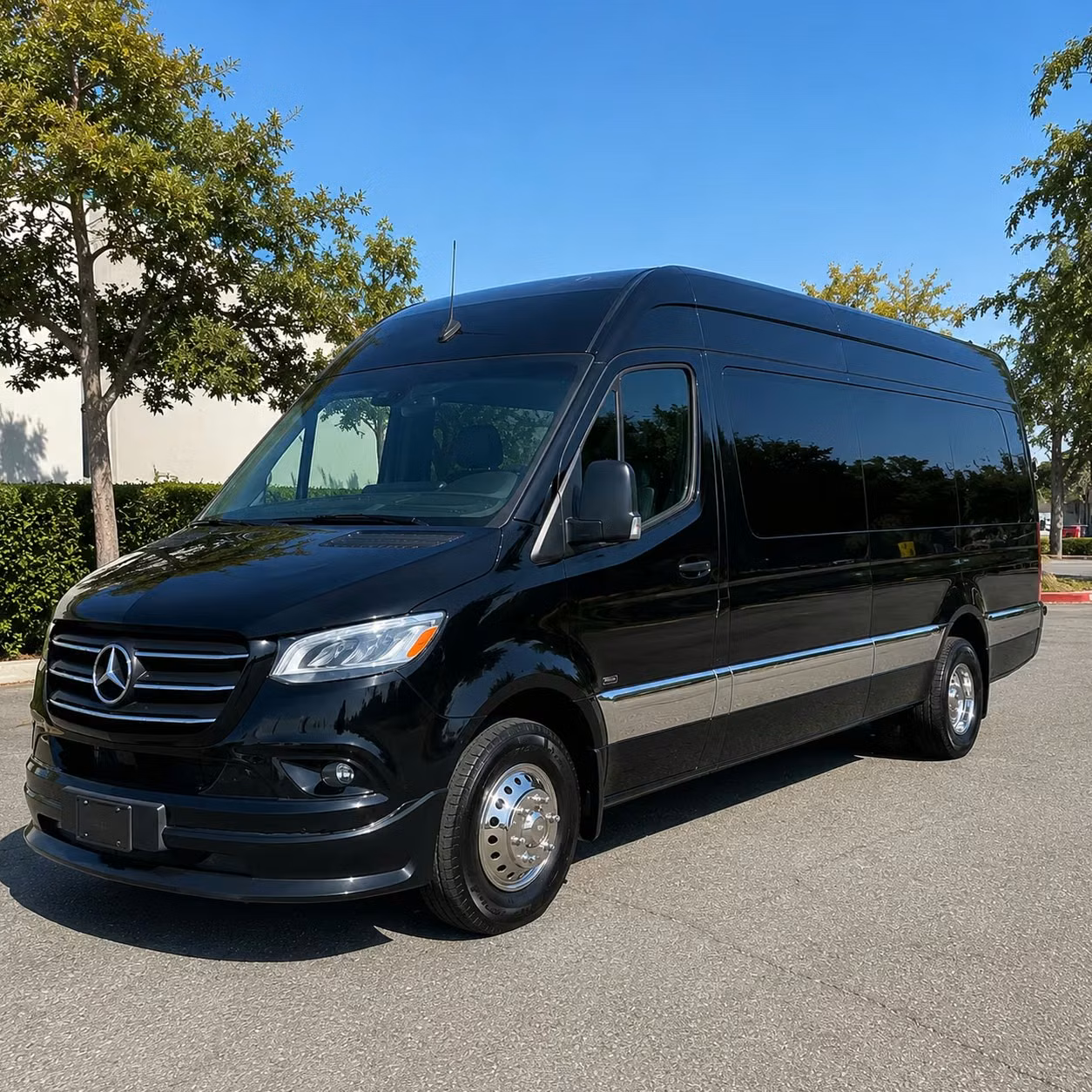 conroe sprinter van rental with driver